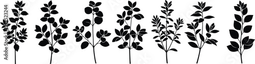 Collection of various plant silhouettes on white background