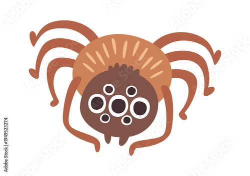 Funny spider big googly eyes