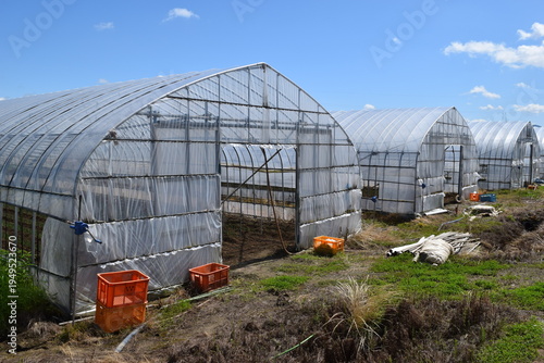 農業用ビニールハウス