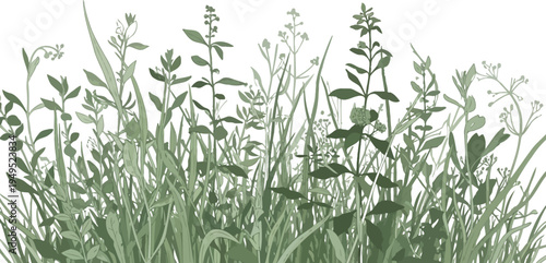 A serene illustration of tall grass and wildflowers in a field