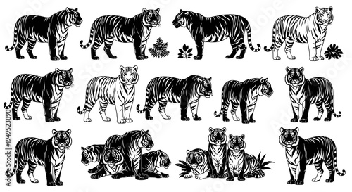 Tiger Collection: Diverse Poses and Styles - Black and White Illustrations