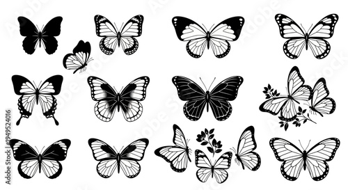 Vintage Butterfly Collection: Black and White Engraving Style Illustrations
