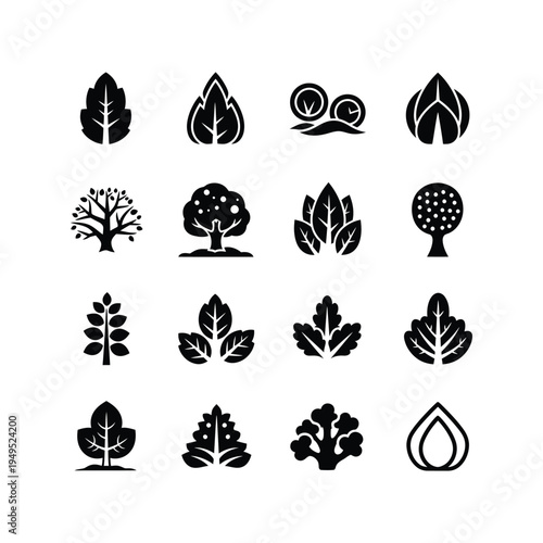 Collection of various leaf icons.