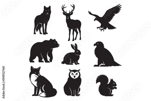 Photography Silhouettes of various wild animals