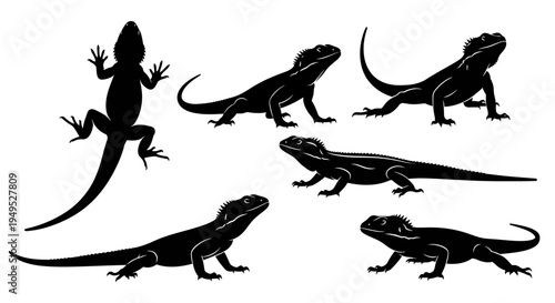 Set of black silhouette illustrations of lizards, iguanas, and reptiles in various poses on a white background.