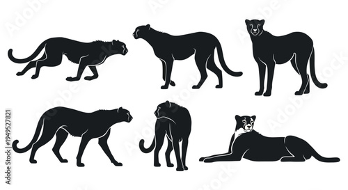 Set of Black Panther Silhouettes in Various Poses