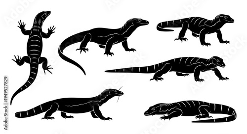 Set of Black Silhouette Komodo Dragons in Various Poses on White Background