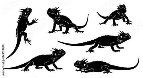 Set of Black Silhouette Illustrations of Spiny Lizards in Various Poses