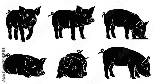Set of Black Pig Silhouettes on White Background: Various Poses