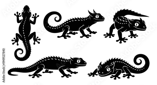 Set of Black Silhouette Lizards and Geckos in Various Poses