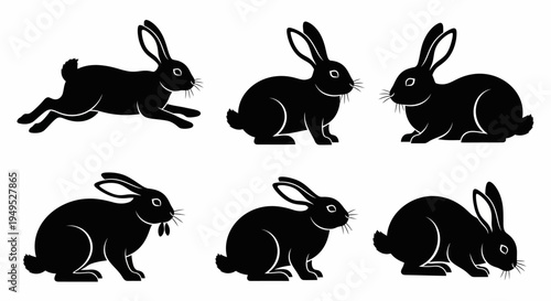 Set of Black Rabbit Silhouettes in Various Poses on White Background