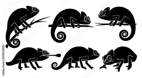 Set of Black Silhouette Chameleons on White Background, Various Poses