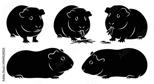 Set of Black Silhouette Guinea Pigs in Various Poses, Cute Rodent Illustration