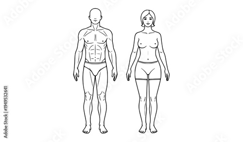 Male and female human body silhouette outline vector set with standing anatomy figures isolated