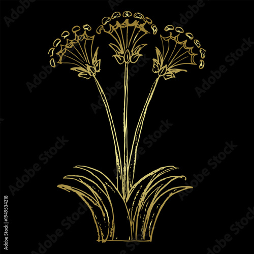 Blooming flower. Papyrus plant. Lily blossom. Ancient Minoan floral ethnic design. Hand drawn linear doodle rough sketch. Golden silhouette on black background.