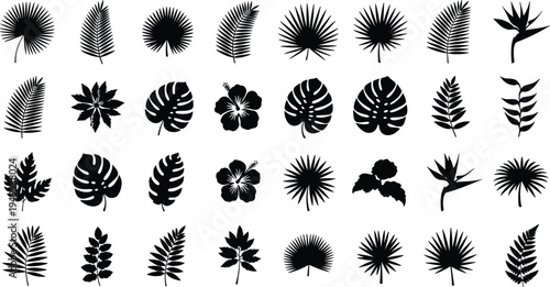 Collection of tropical leaf and flower silhouettes on white background