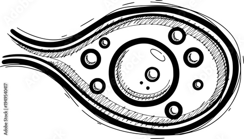 Scientific illustration of a single-celled organism in black and white  