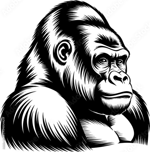 Black and white illustration of a gorilla head, detailed ink drawing of a silverback primate portrait, powerful ape mascot design for sports team