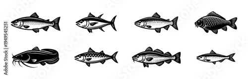 Black and white fish silhouettes set featuring various fish species collection