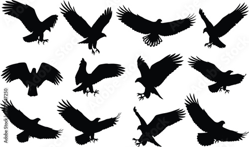 Silhouette illustration of eagles flying, majestic bird poses, wings spread landing positions, wildlife concept, raptor representation, nature freedom, powerful flight scene