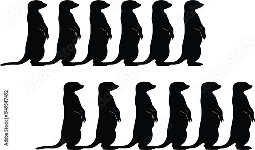 Silhouette meerkats standing upright, wildlife animals, group behavior, desert creatures, nature illustration, animal silhouettes, educational design, stock vector art