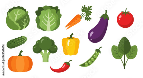 Vegetable collection illustration on white