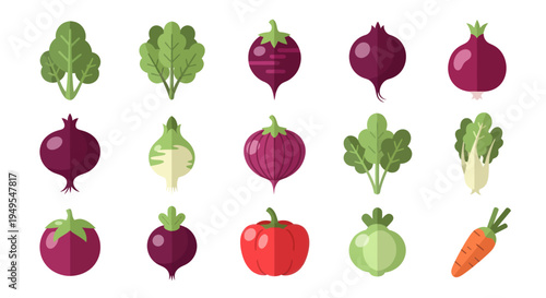 Vegetable illustrations colorful flat design collection for food and health concepts