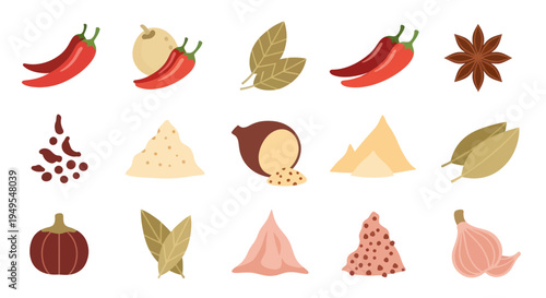 Spice collection red chili peppers herbs and culinary ingredients vector illustration