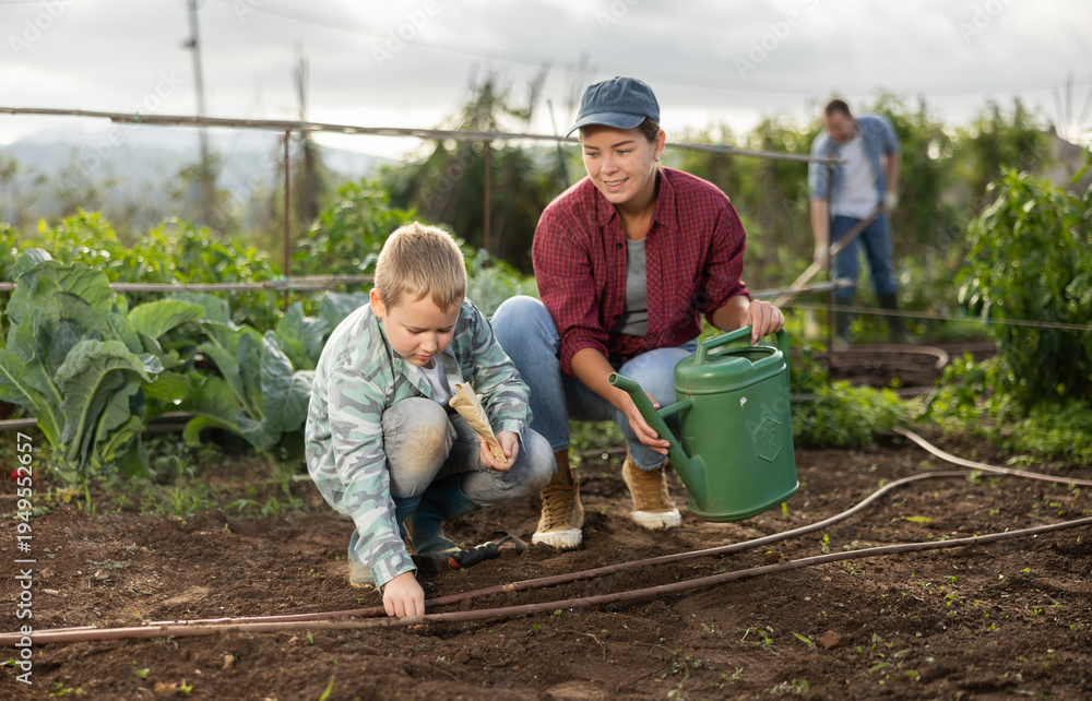 Fototapeta premium Woman and her son are planting seeds on a farm. Guy helps a female farmer plant seeds. Process of planting seeds in the ground