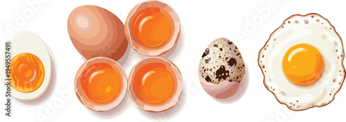 Cartoon Egg Set Featuring Boiled, Fried, Cracked, Quail, and Whole Eggs – Culinary Diversity Vector for Food Concepts