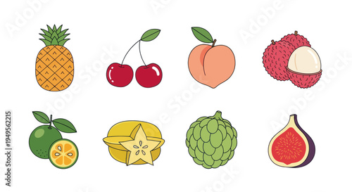 Illustration of various tropical fruits