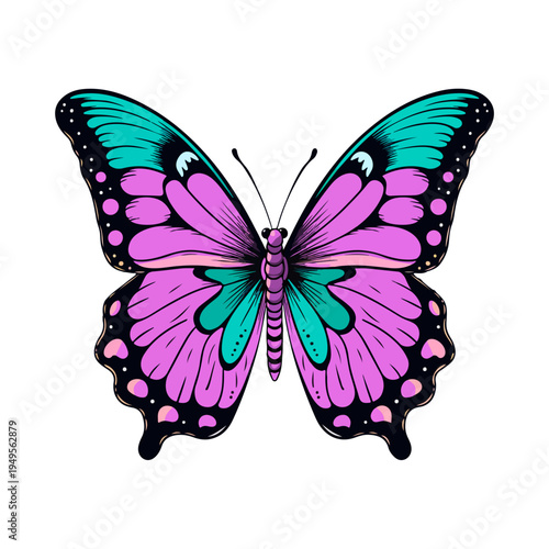 butterfly isolated on white background