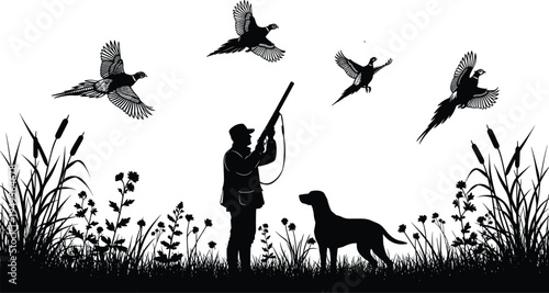 Hunter with shotgun and hunting dog silhouette in marsh grass with flying birds, wildlife hunting scene illustration isolated on white background