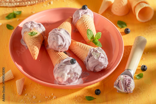 Sweet and cold blueberry ic...