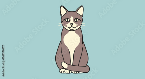 An illustration of a brown and white cat sitting on a blue background looking forward.