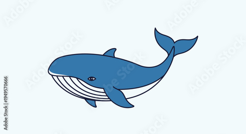 A blue whale swims in the ocean water environment.