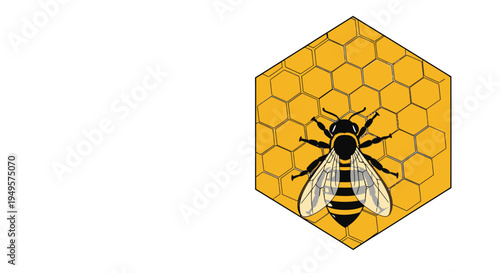 Bee on honeycomb insect closeup 3.