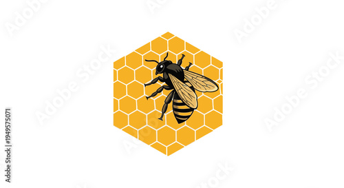 Bee on honeycomb insect closeup 1.