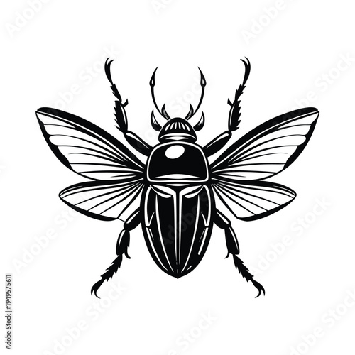 Detailed black and white illustration of a scarab beetle with outstretched wings, vintage entomology drawing of insect with segmented body and legs