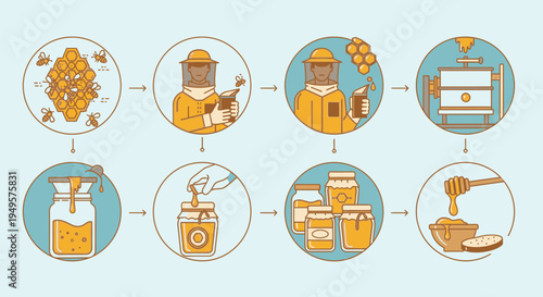Honey production process infographic elements.