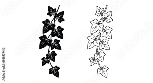 Two cascading ivy branches presented in a simple black and white design