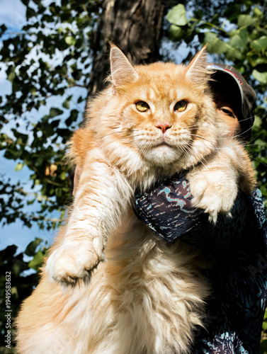 A woman holding in arms a big maine coon cat in nature.
