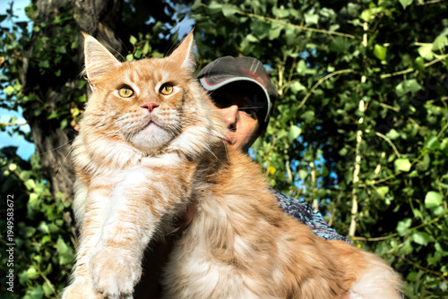 A woman holding in arms a big maine coon cat in nature.