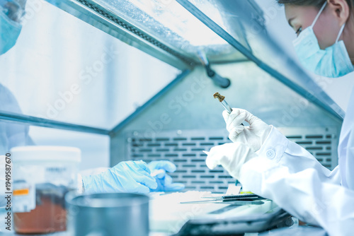 Foto pathologist preparing tissue biopsy sample for microscope slide