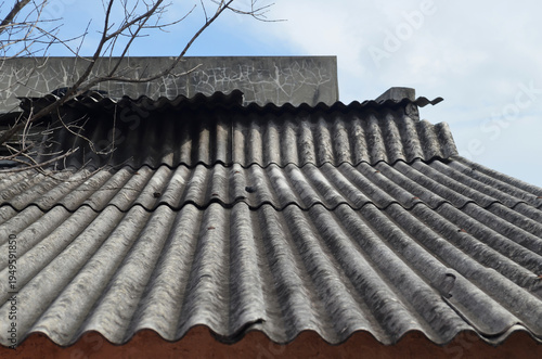 old building with asbestos roof and dry branches on top. background of bright sky during the day