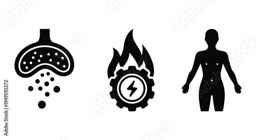 Three abstract icons representing biological processes, energy, and human form.