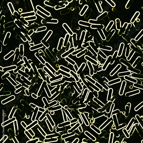 microscopic view of clostri...