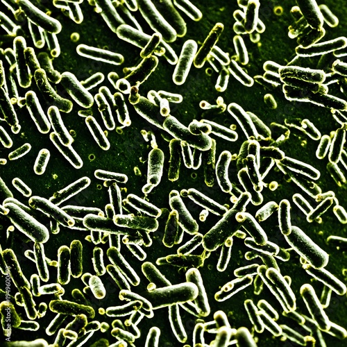 microscopic view of clostri...