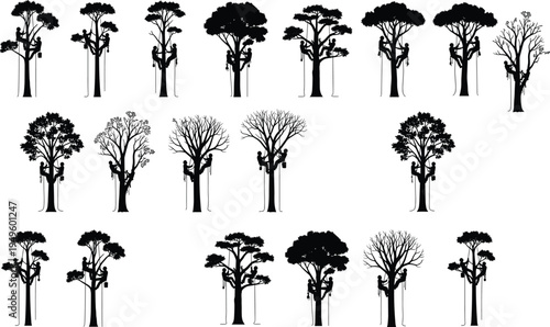 Tree climbing arborist silhouettes set, professional tree care workers cutting branches, arboriculture maintenance activity vector illustration collection
