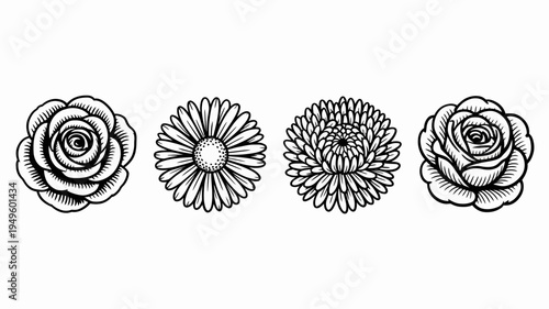 A collection of four distinct floral designs rendered in a black and white hand drawn sketch style showcasing varying petal structures high quality professional detailed modern